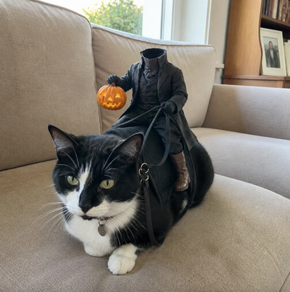 Halloween Spooky Rider Pet Costume 🎃