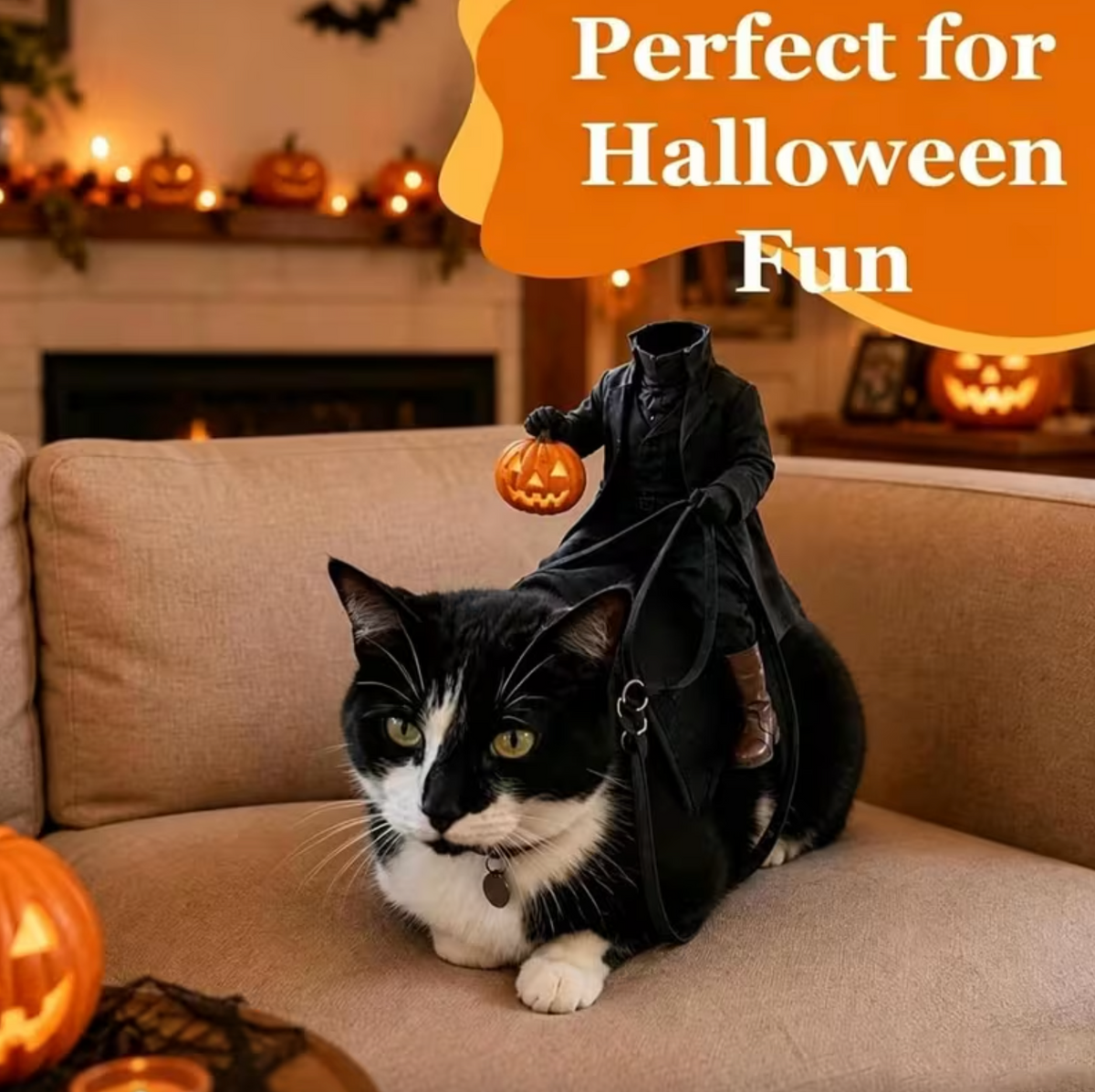 Halloween Spooky Rider Pet Costume 🎃